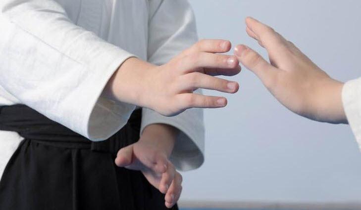 Aikido NLP - Impian