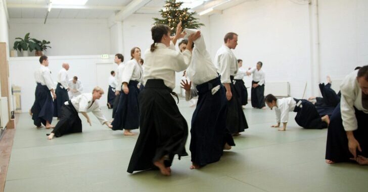 Aikido Merapi Dojo - Yogyakarta Aikido Merapi Dojo - Yogyakarta